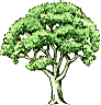 Family Tree